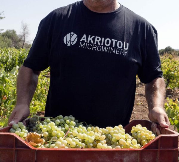 Σταφύλια υψηλής ποιότητας θέτουν τις βάσεις για τα κρασιά του οινοποιείου Ακριώτου