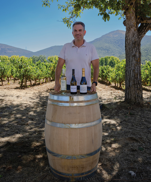 Αλέξανδρος Τζαχρίστας, επικεφαλής οινολόγος Ελληνικά Οινοποιεία