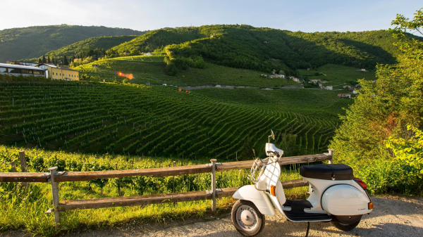 Το ιταλικό κρασί ηγείται των παγκόσμιων εξαγωγών