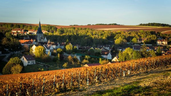 Κλιματικές προκλήσεις φέρνουν νέους κανονισμούς και αποδόσεις στο Chablis