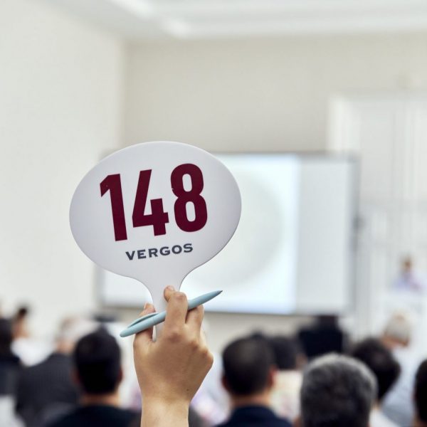 Στιγμιότυπο δημοπρασίας