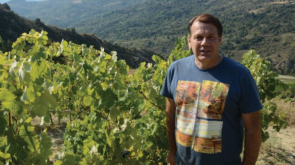 Άριστη πρώτη ύλη το μυστικό της επιτυχίας για το Οινοποιείο Παπαργυρίου