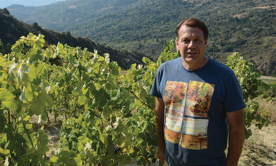 Άριστη πρώτη ύλη το μυστικό της επιτυχίας για το Οινοποιείο Παπαργυρίου