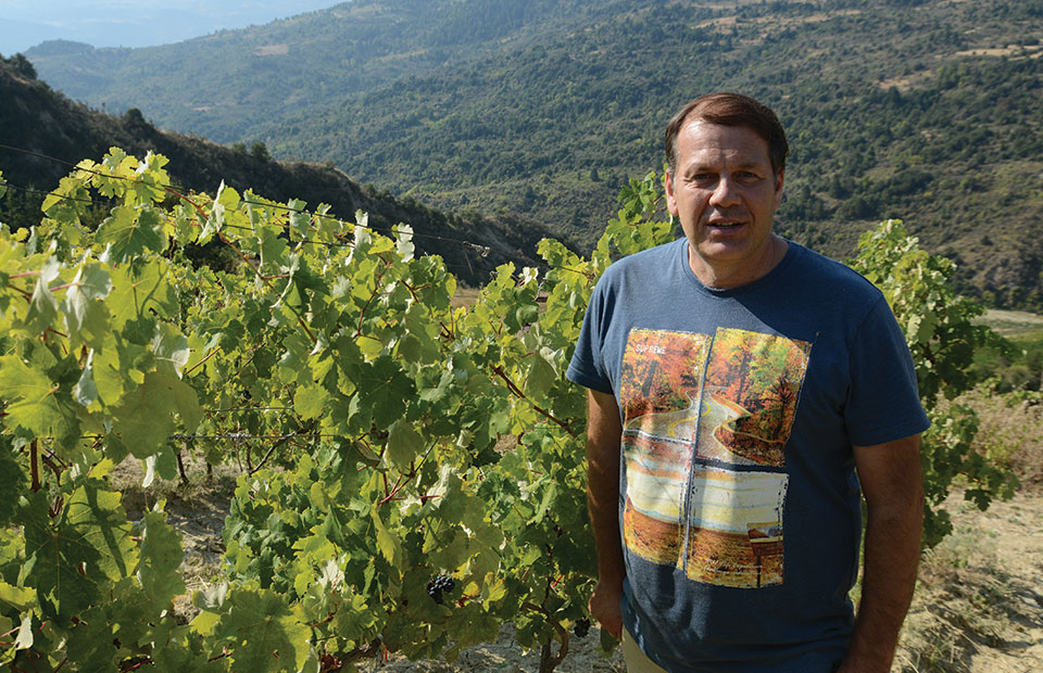 Άριστη πρώτη ύλη το μυστικό της επιτυχίας για το Οινοποιείο Παπαργυρίου