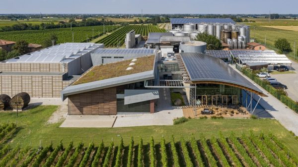 Η Ιταλία θεσμοθετεί το μέλλον των οίνων χωρίς αλκοόλ και ανοίγει νέο εμπορικό κεφάλαιο