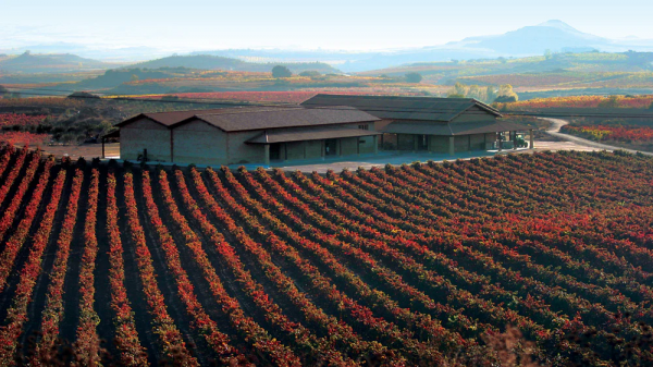 Η Ισπανία στην κορυφή του παγκόσμιου βιολογικού αμπελώνα