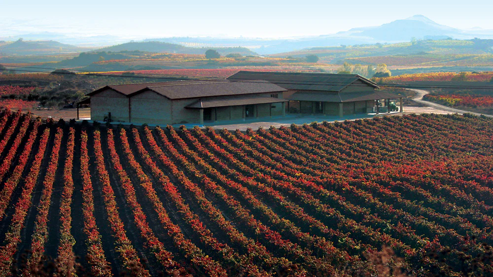 Η Ισπανία στην κορυφή του παγκόσμιου βιολογικού αμπελώνα