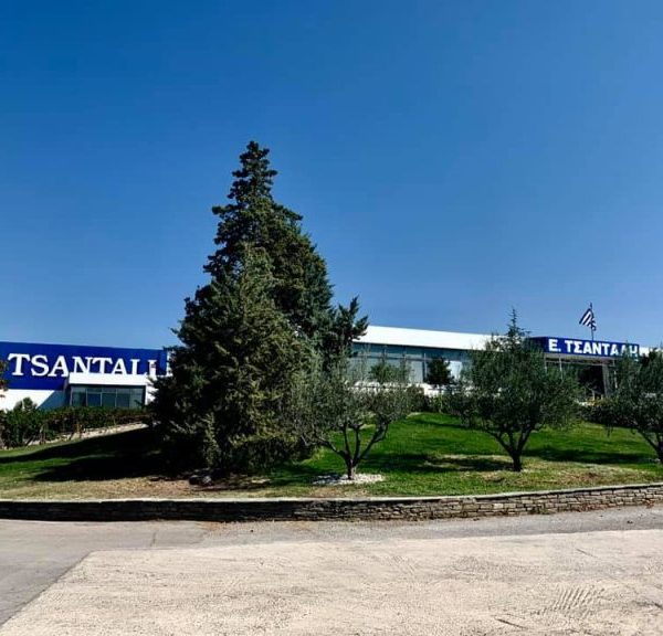 Πιο κοντά στα Ελληνικά Οινοποιεία τα «ασημικά» του Τσάνταλη, μετά την αποδοχή της αίτησης πτώχευσης