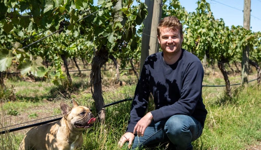 Η επόμενη γενιά του οίνου και το στοίχημα της αναγένησης των ευρωπαϊκών αμπελώνων