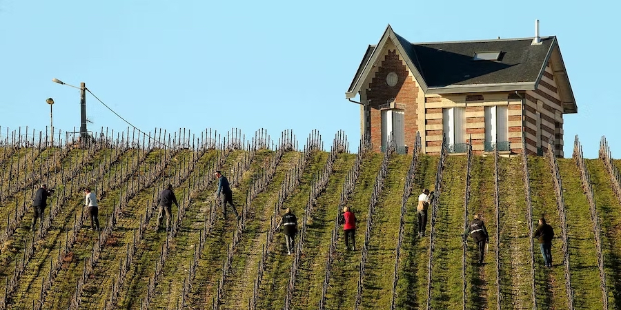 Η Γαλλία επανασχεδιάζει τον αμπελώνα της εν μέσω βαθιάς οινικής κρίσης