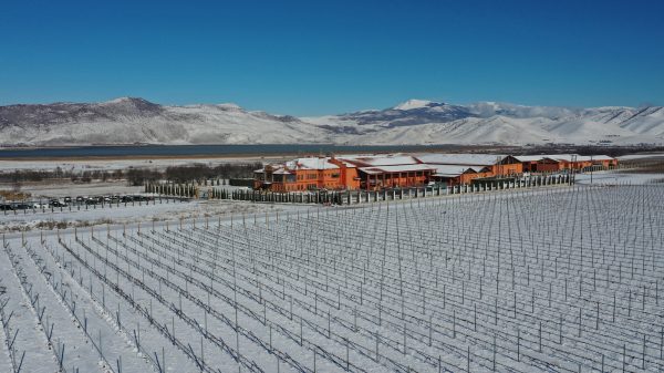 Το Κτήμα Άλφα εντάσσεται στην κορυφαία παγκόσμια επιστημονική κοινότητα για την αμπελουργία και οινολογία IVES