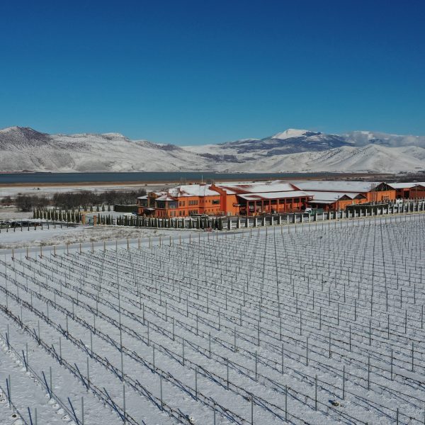 Το Κτήμα Άλφα εντάσσεται στην κορυφαία παγκόσμια επιστημονική κοινότητα για την αμπελουργία και οινολογία IVES
