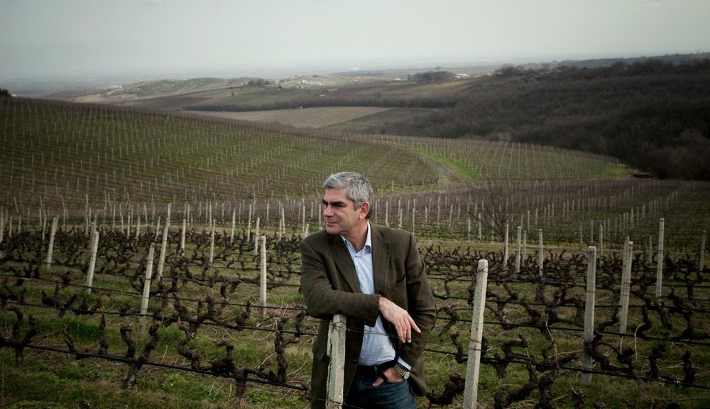 O ΣΕΟ διασώζει την ιστορία του σύγχρονου ελληνικού κρασιού