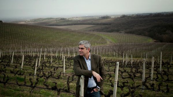 O ΣΕΟ διασώζει την ιστορία του σύγχρονου ελληνικού κρασιού