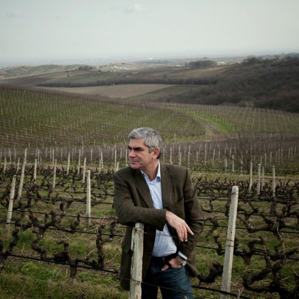 O ΣΕΟ διασώζει την ιστορία του σύγχρονου ελληνικού κρασιού