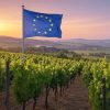 Ο κλονισμός των ΠΟΠ οίνων στην καρδιά των ευρωπαϊκών εξαγωγών