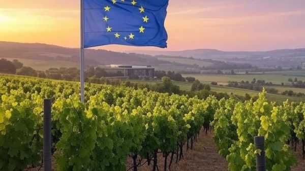 Ο κλονισμός των ΠΟΠ οίνων στην καρδιά των ευρωπαϊκών εξαγωγών