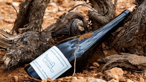 Υπογραφή καταξίωσης για ΕΟΣ Σάμου η ένταξη του λευκού «Αρχέγονα Εδάφη» στο Top 50