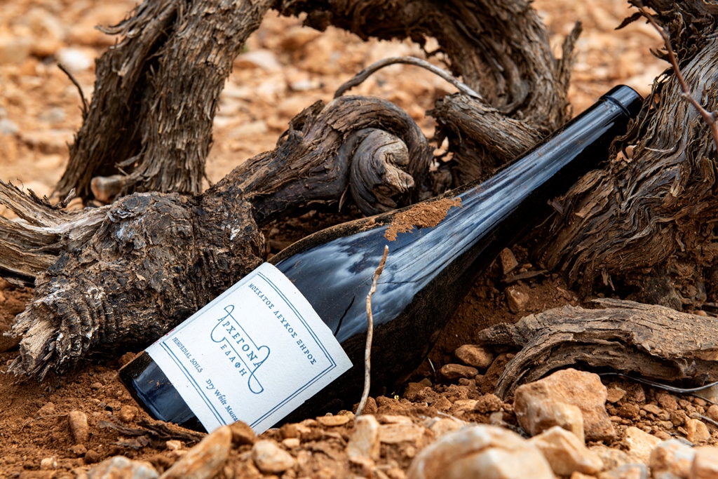 Υπογραφή καταξίωσης για ΕΟΣ Σάμου η ένταξη του λευκού «Αρχέγονα Εδάφη» στο Top 50