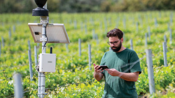 Αποτυπώνουν την έννοια του terroir απευθείας στη φιάλη τα premium κρασιά του Οινοποιείου Λαφαζάνη