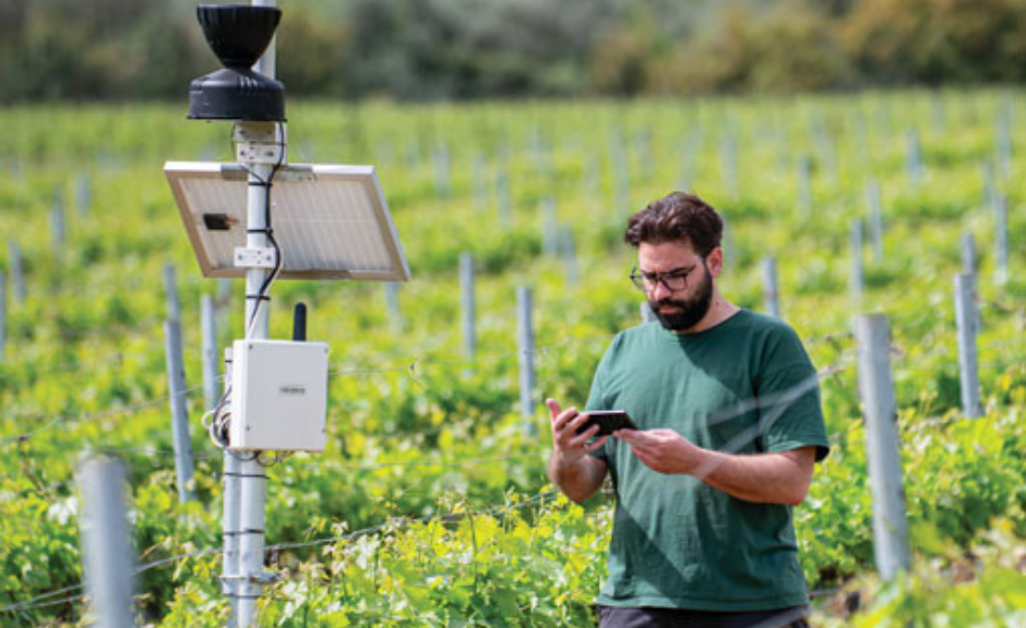 Αποτυπώνουν την έννοια του terroir απευθείας στη φιάλη τα premium κρασιά του Οινοποιείου Λαφαζάνη
