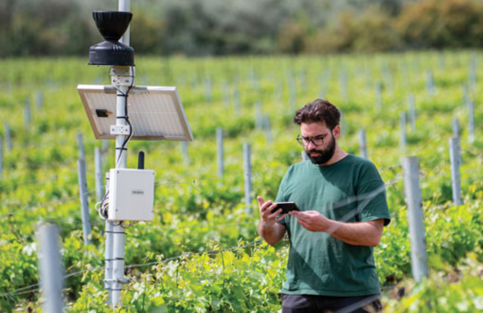 Αποτυπώνουν την έννοια του terroir απευθείας στη φιάλη τα premium κρασιά του Οινοποιείου Λαφαζάνη
