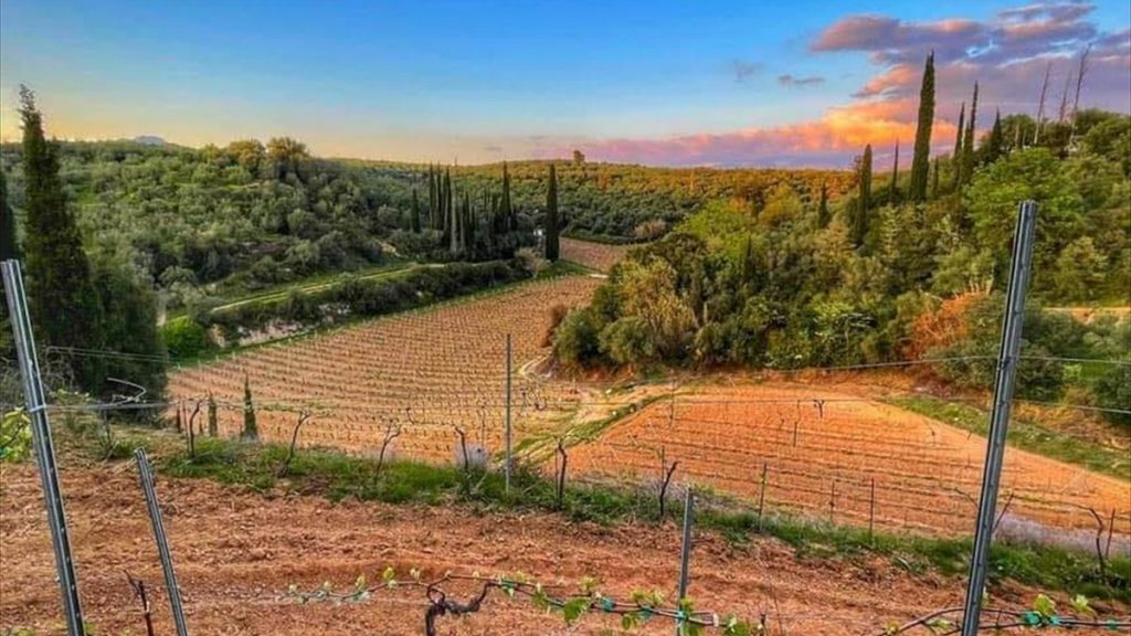 Η Οινοποιία Ψαρούλη δίνει το παρών στο WSPC Open Day – Messinia Terroirs Wines