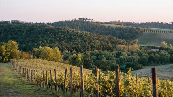 Με το «ναι» του Συμβουλίου σε εφαρμογή τα μέτρα εξισορρόπησης προσφοράς-ζήτησης οίνου της ΕΕ