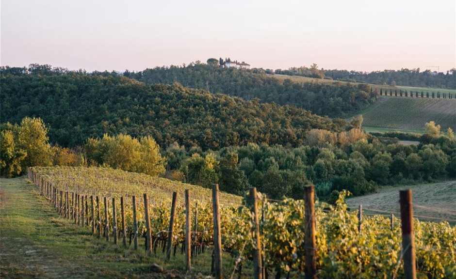 Με το «ναι» του Συμβουλίου σε εφαρμογή τα μέτρα εξισορρόπησης προσφοράς-ζήτησης οίνου της ΕΕ