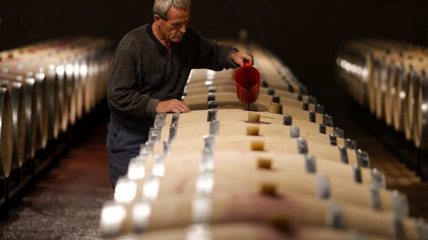 Aυξημένη κατά 15% η ελληνική οινοπαραγωγή το 2025/2026, απέχει μακράν με το μέσο 20ετίας