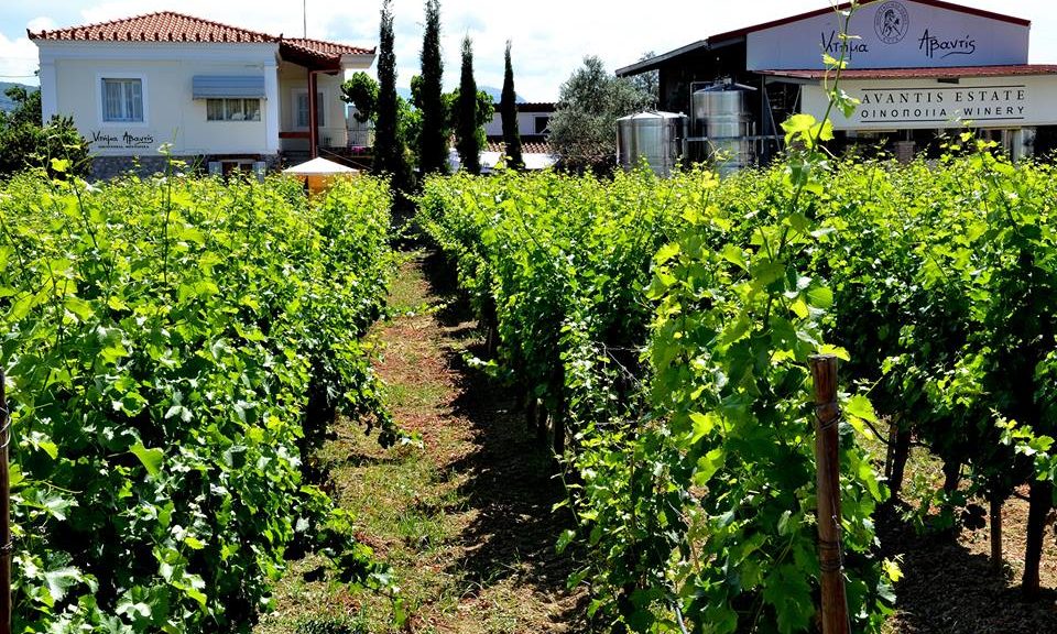 Το Κτήμα Αβαντίς εντάσσεται στο χαρτοφυλάκιο Oenothèque της ΑΜΒΥΞ