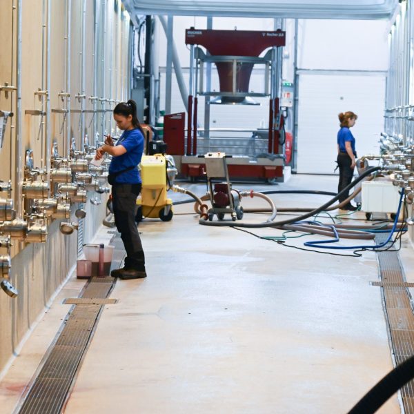 Η Γαλλία πιέζει για υψηλότερη τιμή απόσταξης στα πλεονάζοντα κρασιά