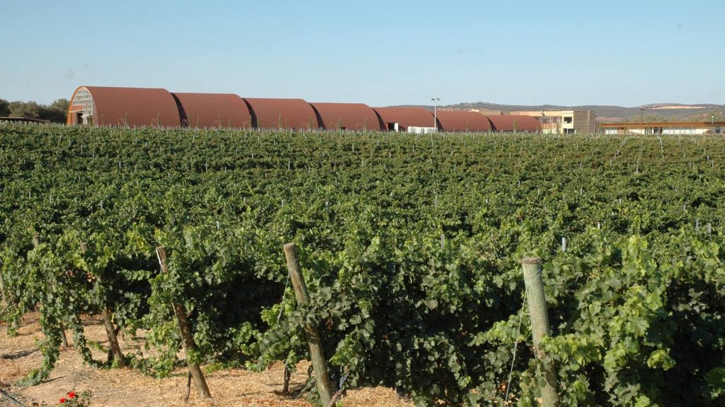 Συνεταιριστικός γίγαντας από τη συγχώνευση ισπανικών οινοποιείων