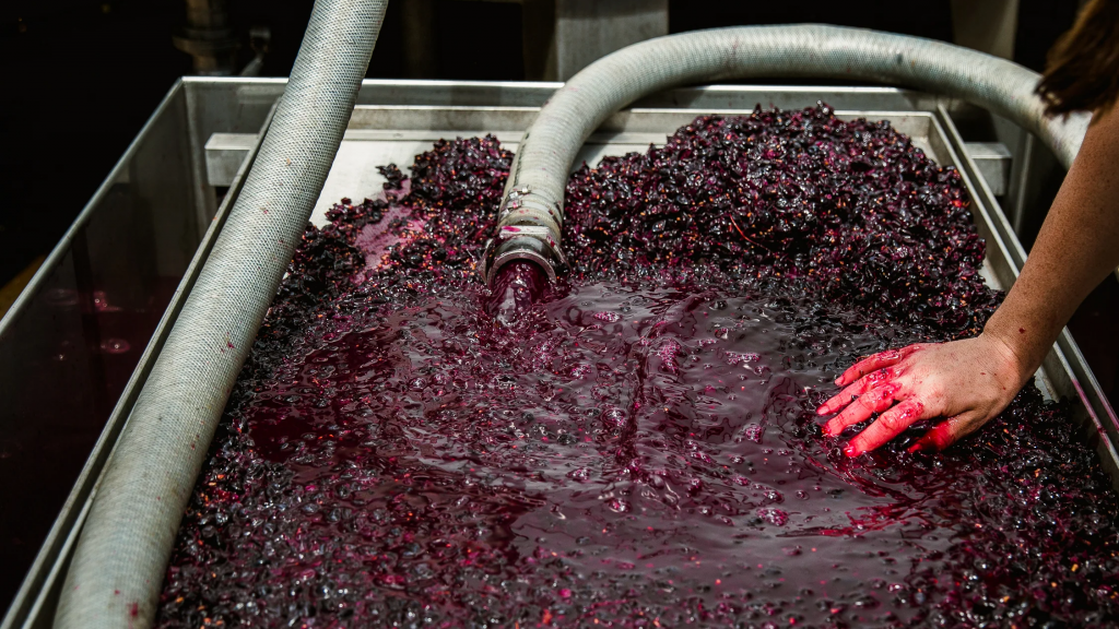 Η παγκόσμια αγορά σταφυλοχυμού αναπτύσσεται και ενισχύει τη διεθνή συνεργασία