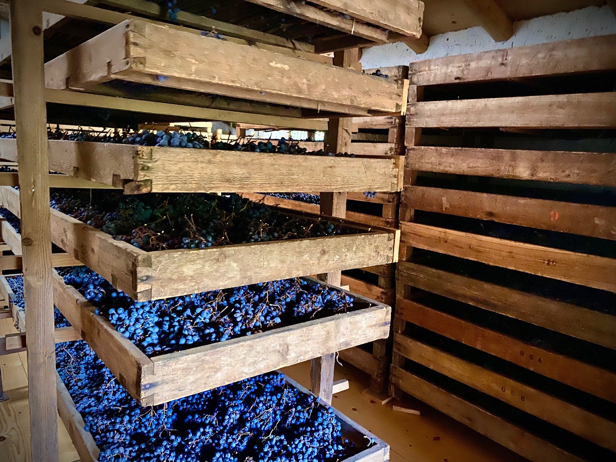 Η Valpolicella διεκδικεί διεθνή αναγνώριση για την μέθοδο messa a riposo