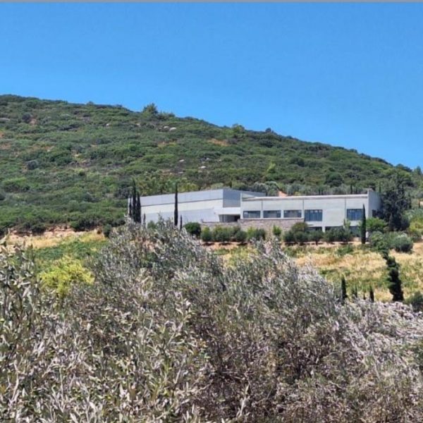 Ανεστάλη ο πλειστηριασμός για το δεύτερο οινοποιείο του «Κτήμα Σπυρόπουλος»