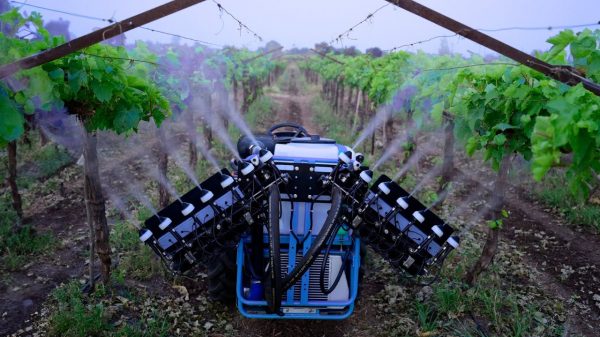 Βιοδιεγερτικά στην αμπελουργία και ο ρόλος τους στη βιώσιμη παραγωγή οίνου