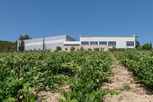 Ανεστάλη ο πλειστηριασμός για το δεύτερο οινοποιείο του «Κτήμα Σπυρόπουλος»