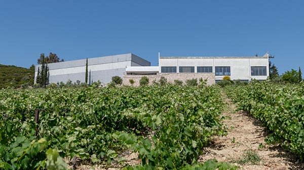 Ανεστάλη ο πλειστηριασμός για το δεύτερο οινοποιείο του «Κτήμα Σπυρόπουλος»