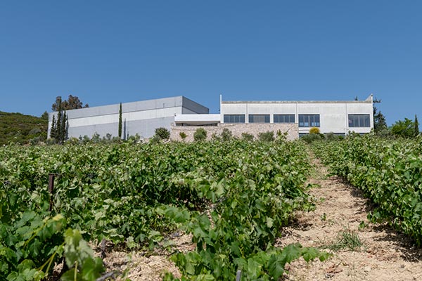 Ανεστάλη ο πλειστηριασμός για το δεύτερο οινοποιείο του «Κτήμα Σπυρόπουλος»