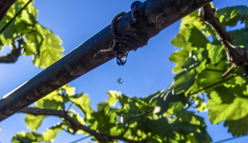 Η επαναχρησιμοποίηση νερού περνά στο επίκεντρο της ισπανικής οινοπαραγωγής