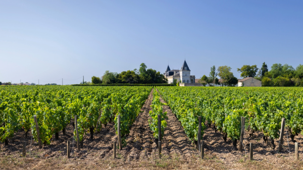 Το Μπορντό αναζητά σωσίβιο γης για να συγκρατήσει την κρίση των αμπελώνων