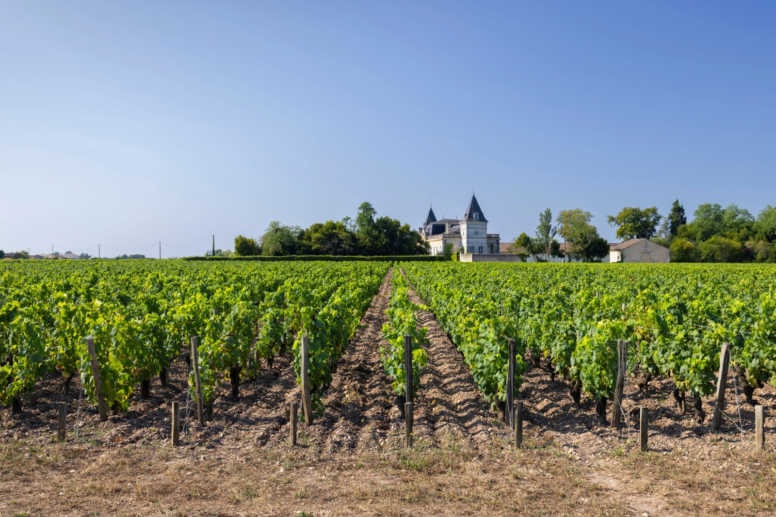Το Μπορντό αναζητά σωσίβιο γης για να συγκρατήσει την κρίση των αμπελώνων