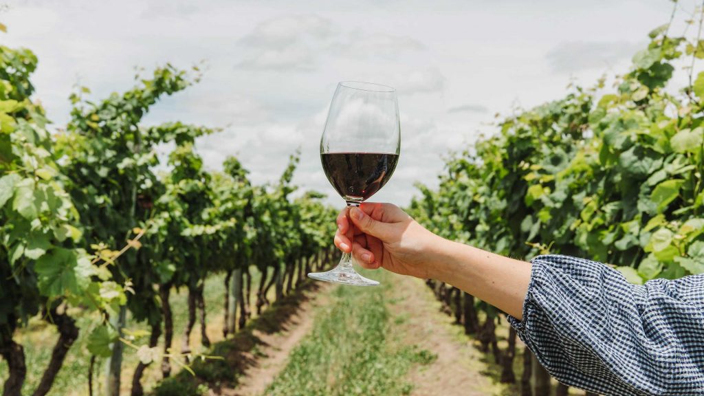 Το παγκόσμιο εμπόριο οίνου έκλεισε χαμηλότερα σε αξία και όγκο