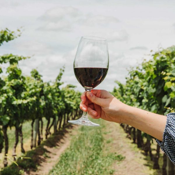 Το παγκόσμιο εμπόριο οίνου έκλεισε χαμηλότερα σε αξία και όγκο