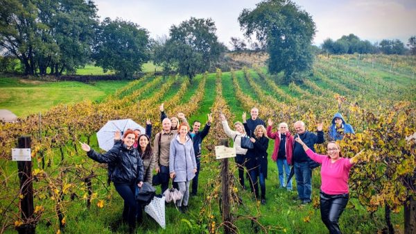 Η στήριξη της εγχώριας αμπελουργίας περνά από την ΚΑΠ και διατοπικά προγράμματα οινοτουρισμού