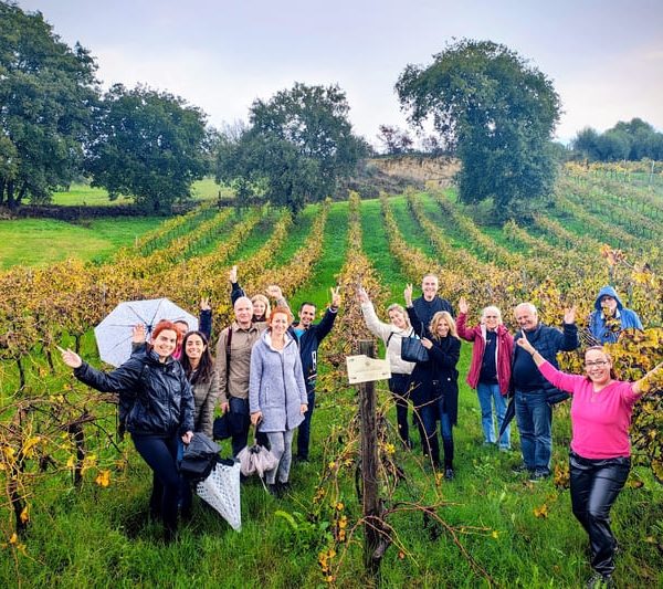 Η στήριξη της εγχώριας αμπελουργίας περνά από την ΚΑΠ και διατοπικά προγράμματα οινοτουρισμού