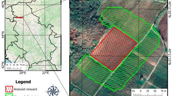 Η τεχνητή νοημοσύνη καλύπτει τα κενά των αισθητήρων στον αμπελώνα