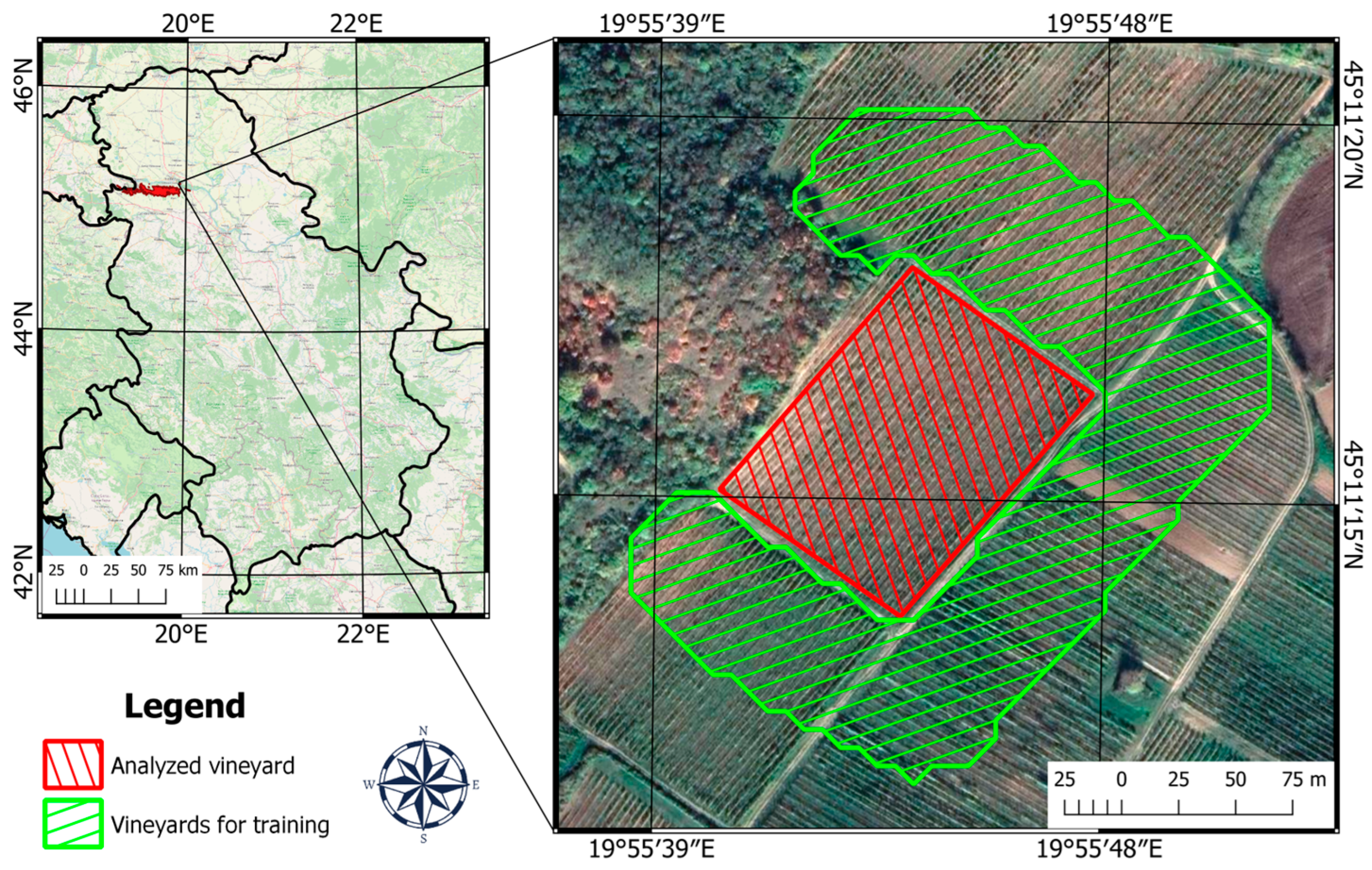 Η τεχνητή νοημοσύνη καλύπτει τα κενά των αισθητήρων στον αμπελώνα
