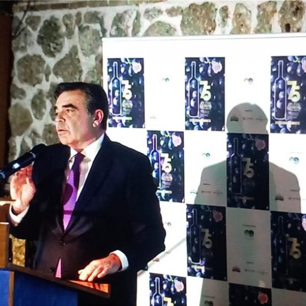 Διττή η πραγματικότητα για τον ελληνικό αμπελοοινικό τομέα